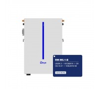 DEYE RW-M6.1-B